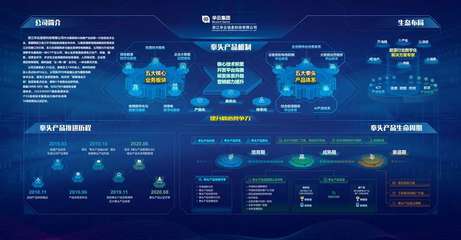 華云集團(tuán)獲評浙江軟件核心競爭力企業(yè)，彰顯國網(wǎng)浙江電力產(chǎn)業(yè)單位數(shù)字化轉(zhuǎn)型硬實(shí)力