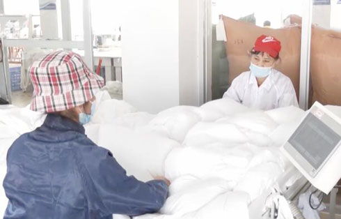 從鴨鵝養(yǎng)殖到羽絨制品出口 廣東湛江產業(yè)發(fā)展多點開花