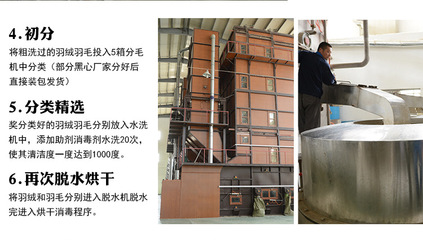 【羽絨羽毛水洗白鴨毛片 枕頭床墊填充原材料 2~4cm鴨毛片工廠批發(fā)】價(jià)格,廠家,圖片,羽毛、羽絨,安徽方翔羽絨制品-